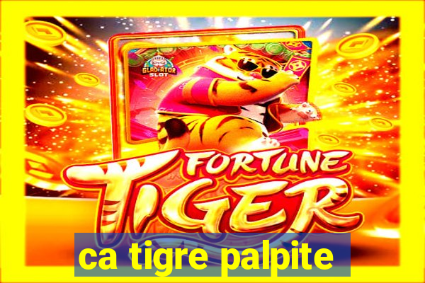 ca tigre palpite